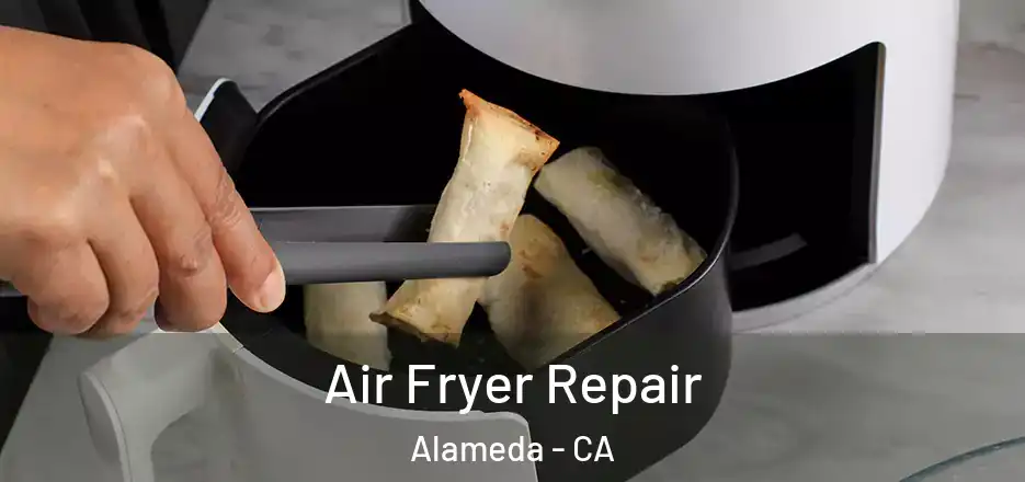  Air Fryer Repair Alameda - CA