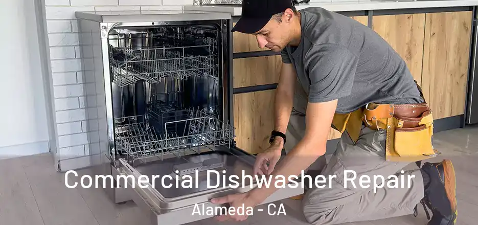  Commercial Dishwasher Repair Alameda - CA