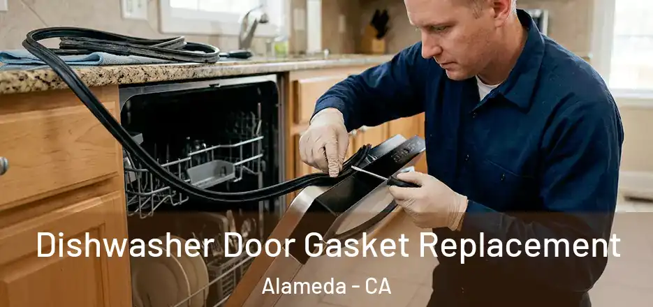 Dishwasher Door Gasket Replacement Alameda - CA