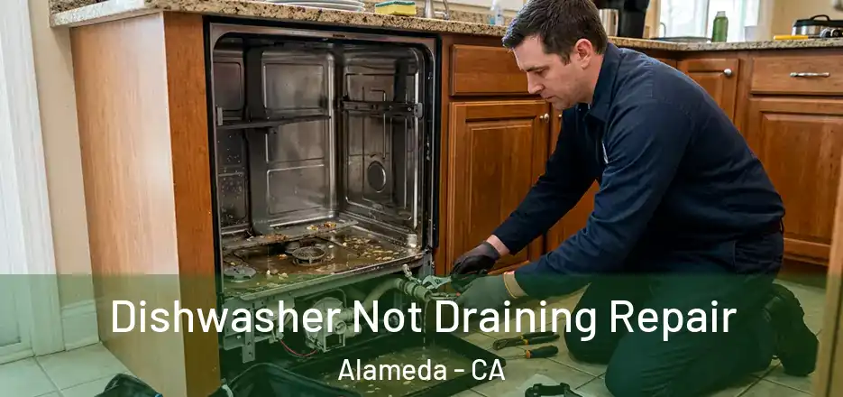  Dishwasher Not Draining Repair Alameda - CA