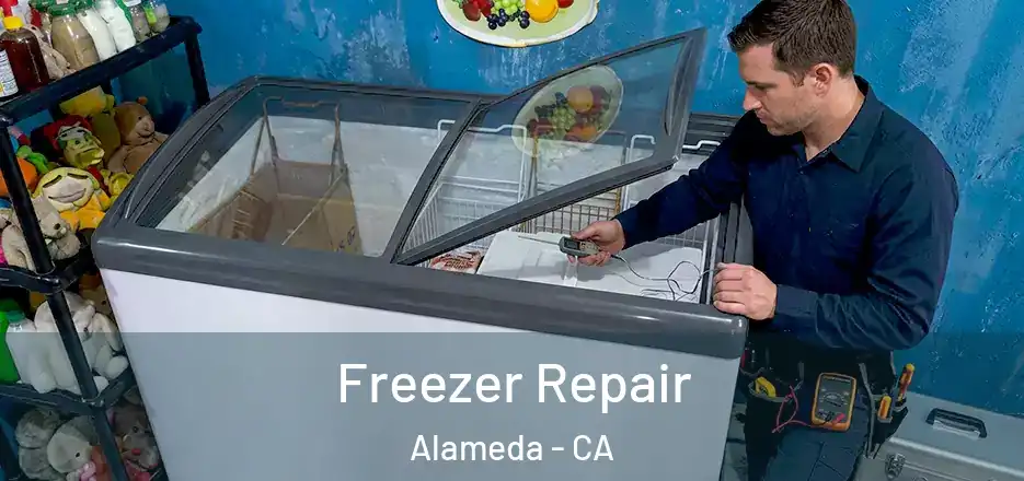 Freezer Repair Alameda - CA