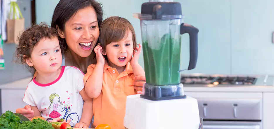 Juicer and Mixer Blender Repair in Alameda
