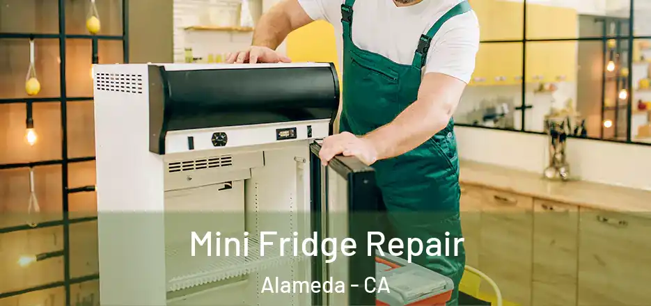 Mini Fridge Repair Alameda - CA