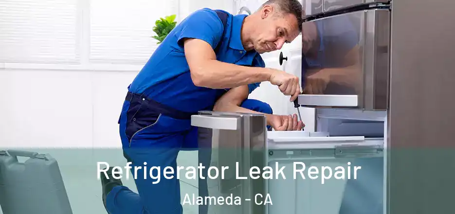 Refrigerator Leak Repair Alameda - CA