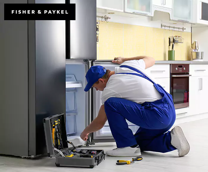 Top-Rated Fisher & Paykel Appliance Experts: Your Brand Specialist in Alameda, CA