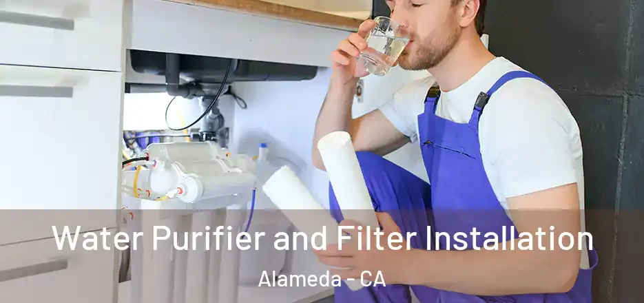 Water Purifier and Filter Installation Alameda - CA